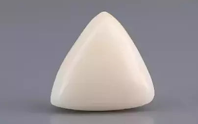 White Coral - 8.18 Carats