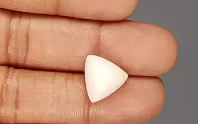 White Coral - 7.39 Carats