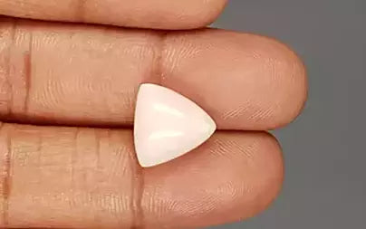 White Coral - 7.67 Carats
