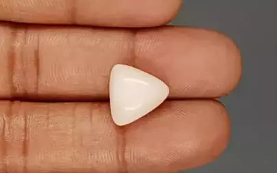 White Coral - 8.45 Carats