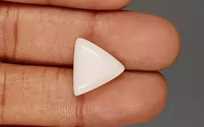 White Coral - 7.96 Carats