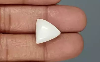 White Coral - 10.97 Carats