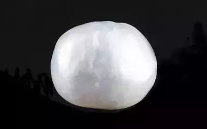 Keshi Pearl (Moti) - 5.88 Carats
