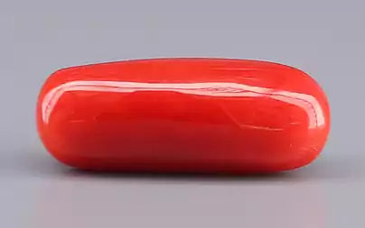 Red Coral (Moonga) - 7.77 Carats