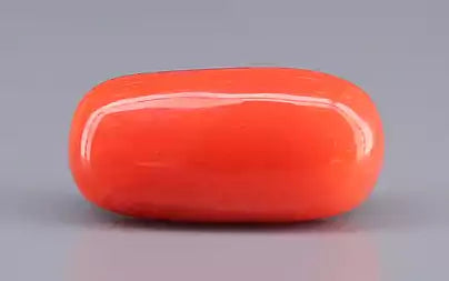 Red Coral (Moonga) - 11.87 Carats