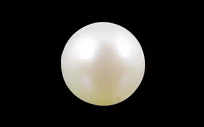 South Sea Pearl - 3.40 Carats (Moti - 3.71 Ratti)