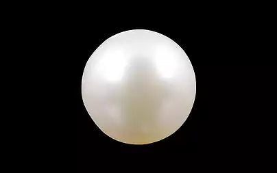 South Sea Pearl - 3.91 Carats (Moti - 4.26 Ratti)