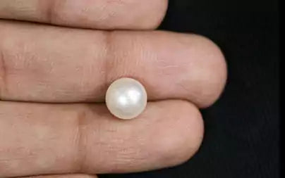 South Sea Pearl (Moti) - 3.84 Carats
