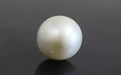 South Sea Pearl - 8.28 Carats (Moti - 9.03 Ratti)