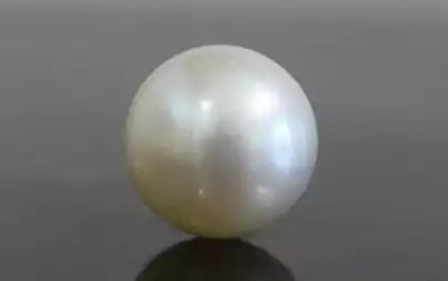 South Sea Pearl - 12.73 Carats (Moti - 13.88 Ratti)