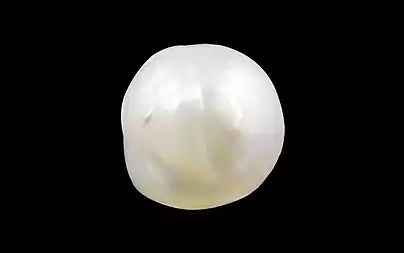 Venezuela Pearl - 4.74 Carats (Moti - 5.17 Ratti)
