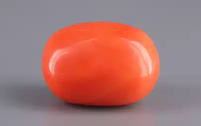 Red Coral - 22.28 Carats (Moonga - 24.29 Ratti)