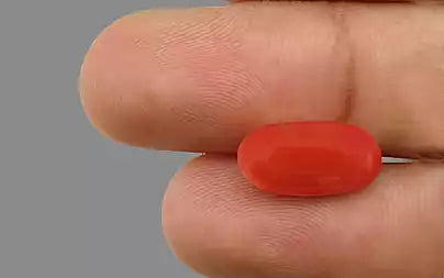 Red Coral - 5.59 Carats (Moonga - 6.09 Ratti)