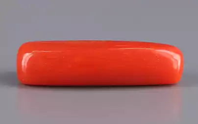 Red Coral (Moonga) - 3.84 Carats