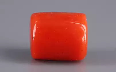 Red Coral (Moonga) - 5.23 Carats