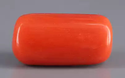 Red Coral (Moonga) - 15.95 Carats