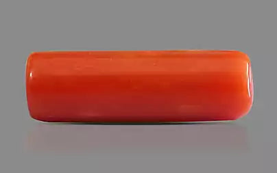 Red Coral (Moonga) - 6.43 Carats