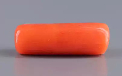 Red Coral (Moonga) - 6.44 Carats