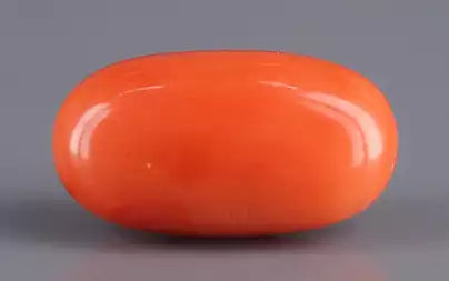 Red Coral (Moonga) - 7.14 Carats