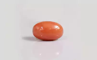 Red Coral (Moonga) - 8.53 Carats
