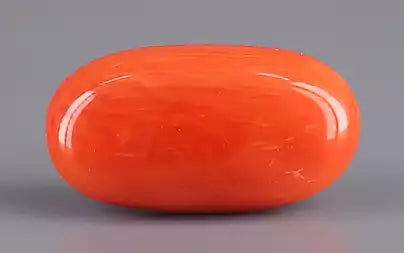 Red Coral (Moonga) - 7.48 Carats