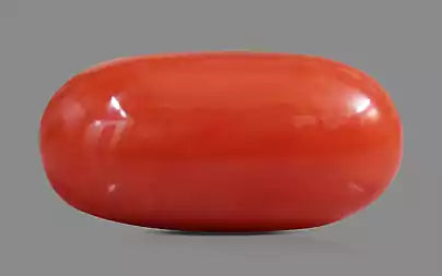 Red Coral (Moonga) - 7.80 Carats