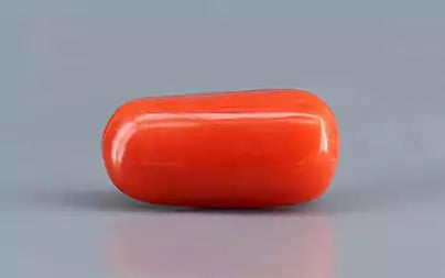 Red Coral (Moonga) - 3.69 Carats