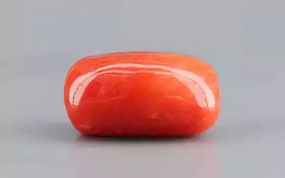 Red Coral - 11.52 Carats (Moonga - 12.56 Ratti)