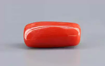Red Coral (Moonga) - 8.21 Carats