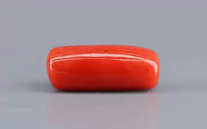 Red Coral (Moonga) - 7.57 Carats
