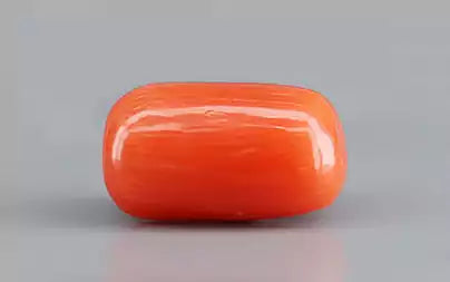 Red Coral (Moonga) - 3.95 Carats