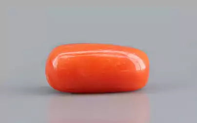 Red Coral (Moonga) - 3.96 Carats
