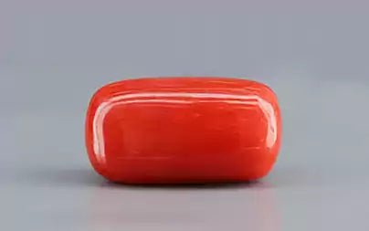 Red Coral (Moonga) - 6.11 Carats