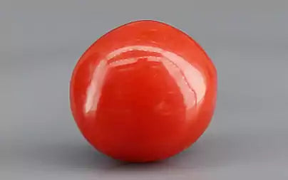 Red Coral (Moonga) - 1.72 Carats