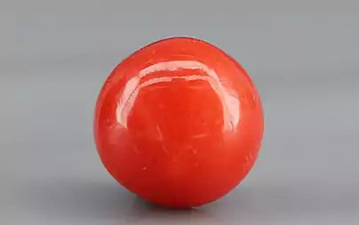 Red Coral (Moonga) - 1.79 Carats