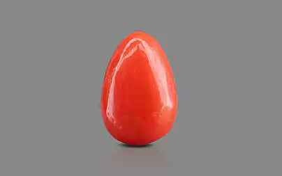 Red Coral (Moonga) - 1.54 Carats