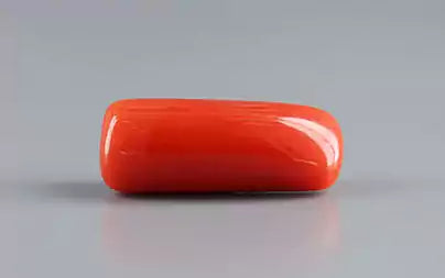 Red Coral (Moonga) - 8.24 Carats