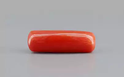 Red Coral (Moonga) - 9.65 Carats