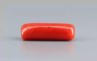 Red Coral (Moonga) - 8.93 Carats