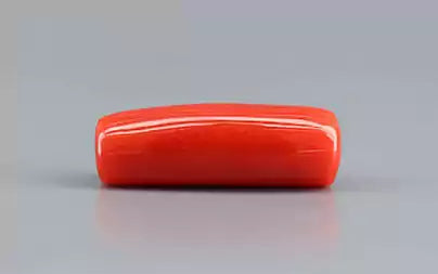 Red Coral (Moonga) - 8.34 Carats