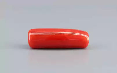 Red Coral (Moonga) - 8.86 Carats