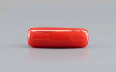 Red Coral (Moonga) - 6.72 Carats