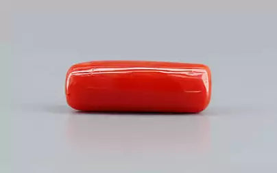 Red Coral (Moonga) - 7.74 Carats