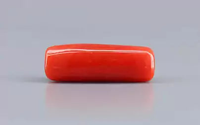 Red Coral (Moonga) - 7.66 Carats
