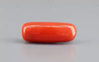 Red Coral (Moonga) - 6.50 Carats