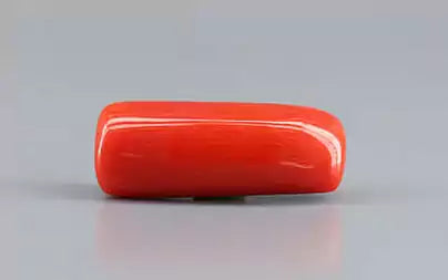 Red Coral (Moonga) - 7.89 Carats