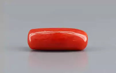 Red Coral (Moonga) - 7.90 Carats