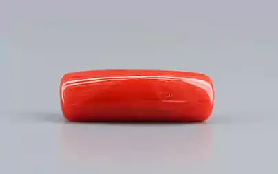 Red Coral (Moonga) - 7.47 Carats