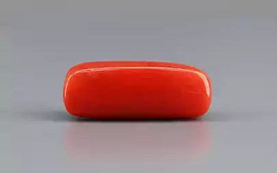Red Coral (Moonga) - 8.03 Carats