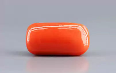 Red Coral (Moonga) - 18.28 Carats